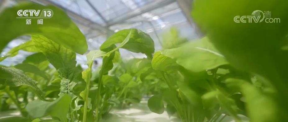 科技赋能农业高质量发展,科技赋能让春耕生产更智慧