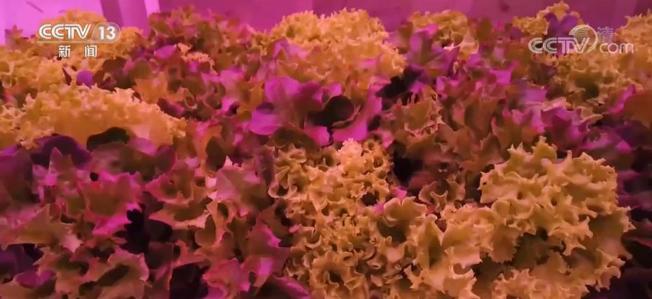 科技赋能农业高质量发展,科技赋能让春耕生产更智慧