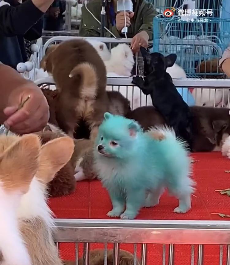 腮红口红眼线笔,腮红眼线笔套装