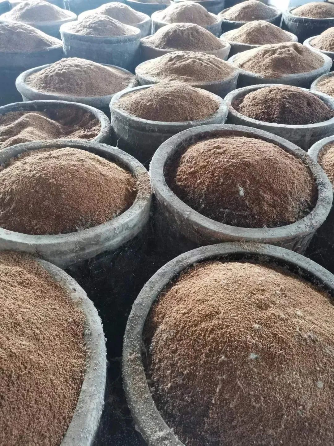 平顶山特产吃的可带走,河南平顶山特产视频