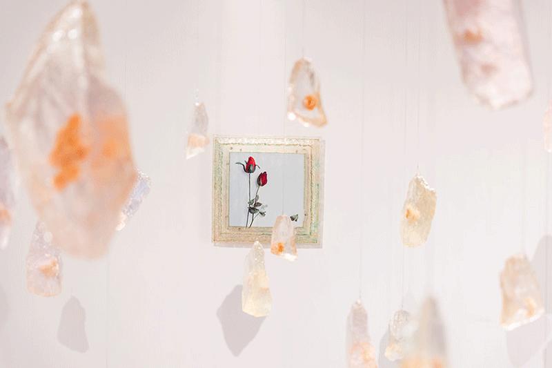 兰蔻菁纯艺术展预热,兰蔻菁纯艺术之夜