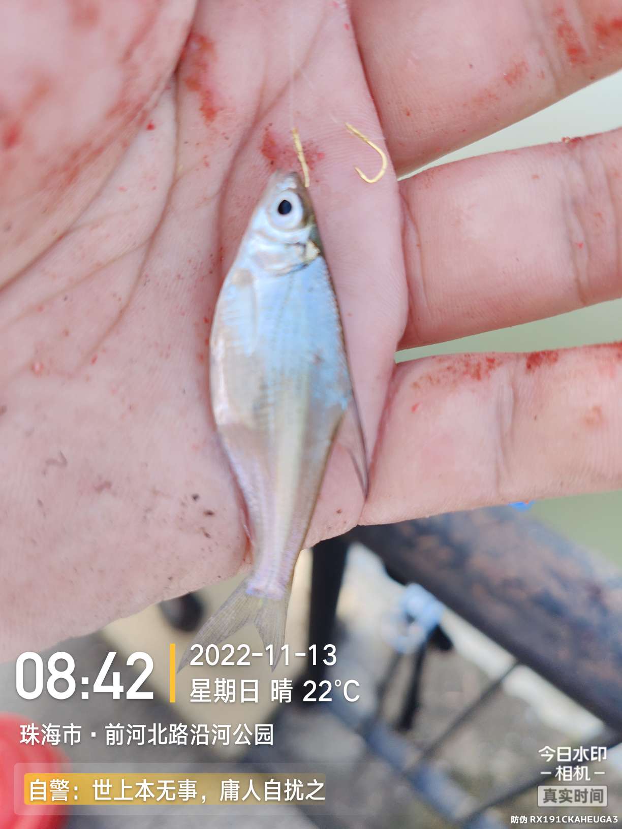 刷新了对钓鱼的认知,钓鱼的十个思维方法