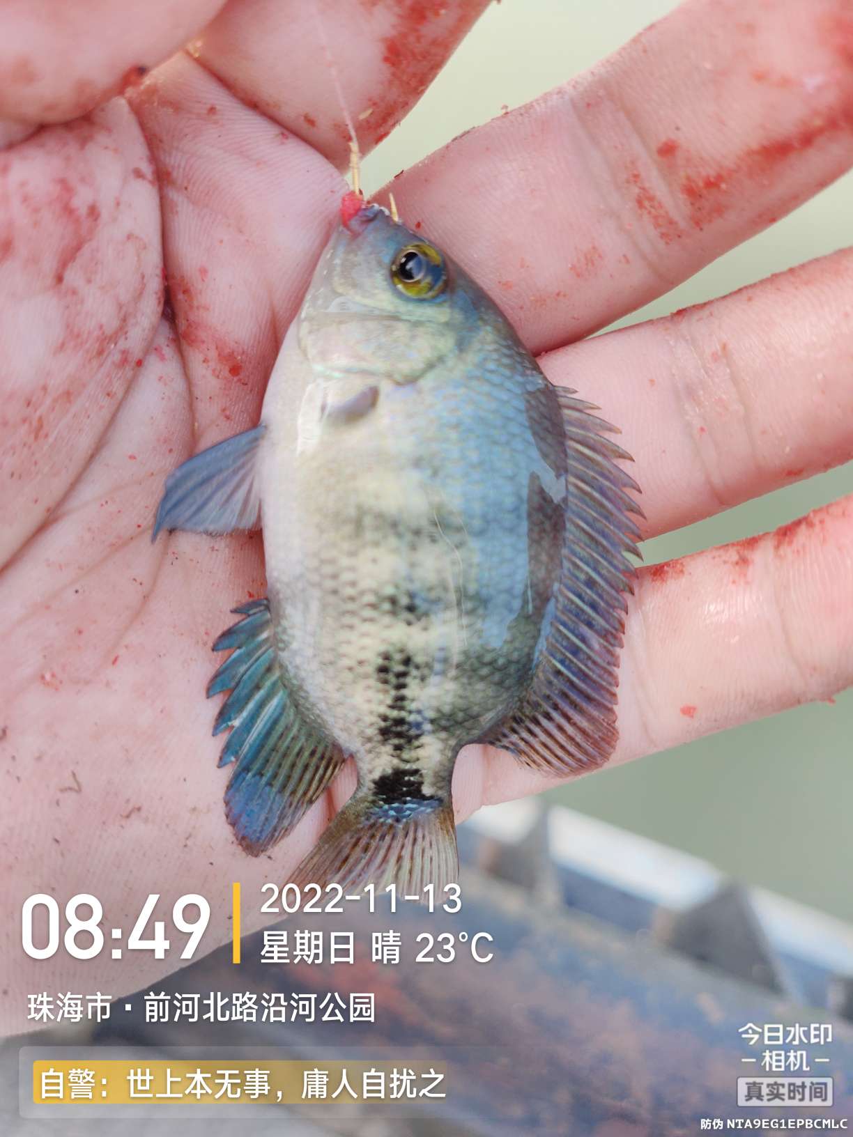 刷新了对钓鱼的认知,钓鱼的十个思维方法