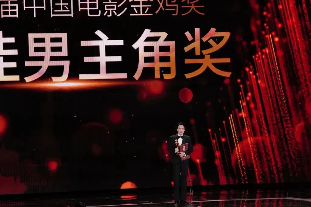 中国电影金鸡奖星辰大海,星辰大海电视连续剧