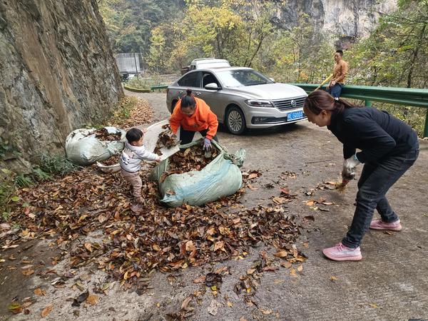 苦练内功提升服务能力,神农架旅游服务