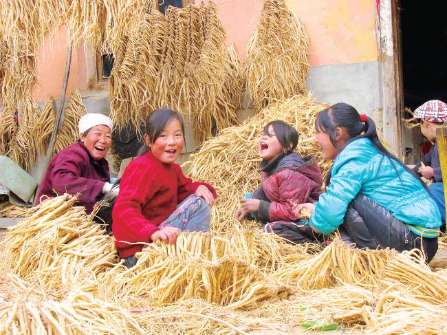 陇西中医药产业发展现状,甘肃定西中医药产业的现状