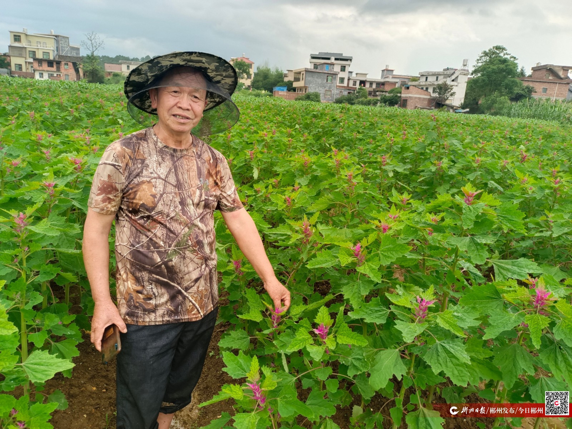 倔老头创作的原声,倔老头玉林