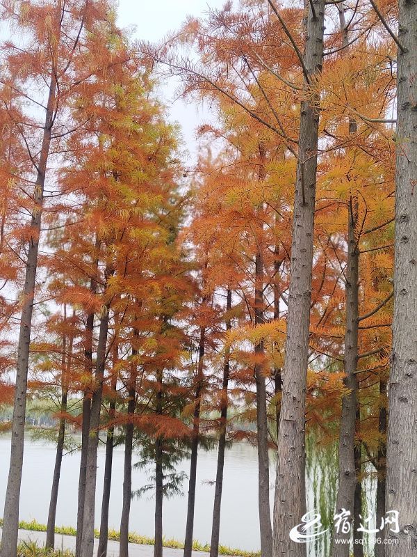 一眼心动光影写真,一眼心动的辽宁冬景