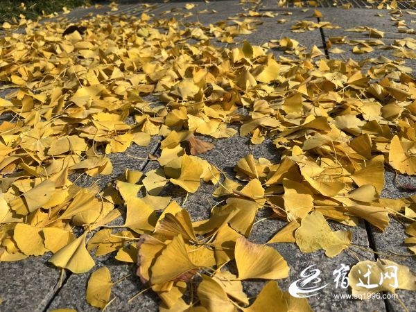 一眼心动光影写真,一眼心动的辽宁冬景