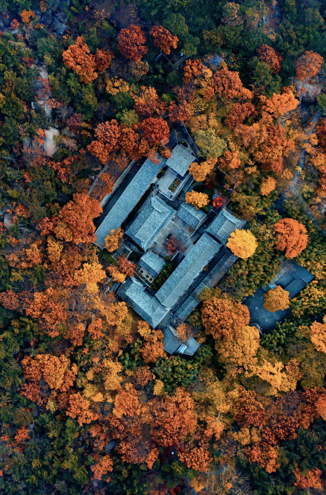 今日小雪寒意渐浓注意保暖,今日小雪天地初寒岁月安暖
