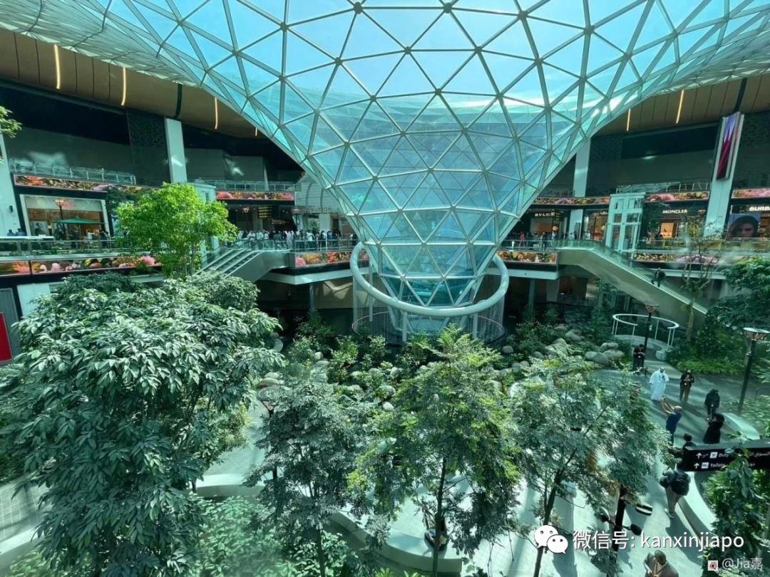 卡塔尔新加坡视频,卡塔尔和新加坡哪个大