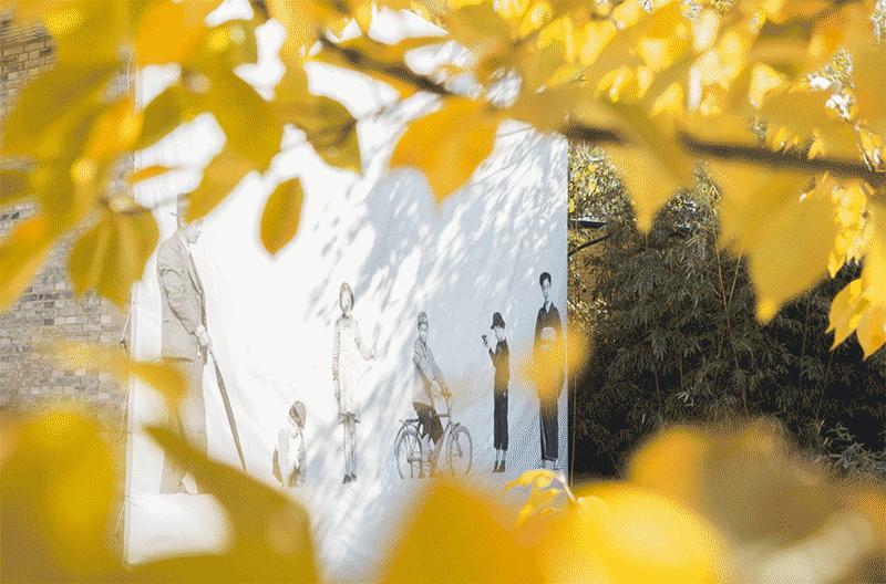 摄影收藏,摄影作品有收藏价值吗