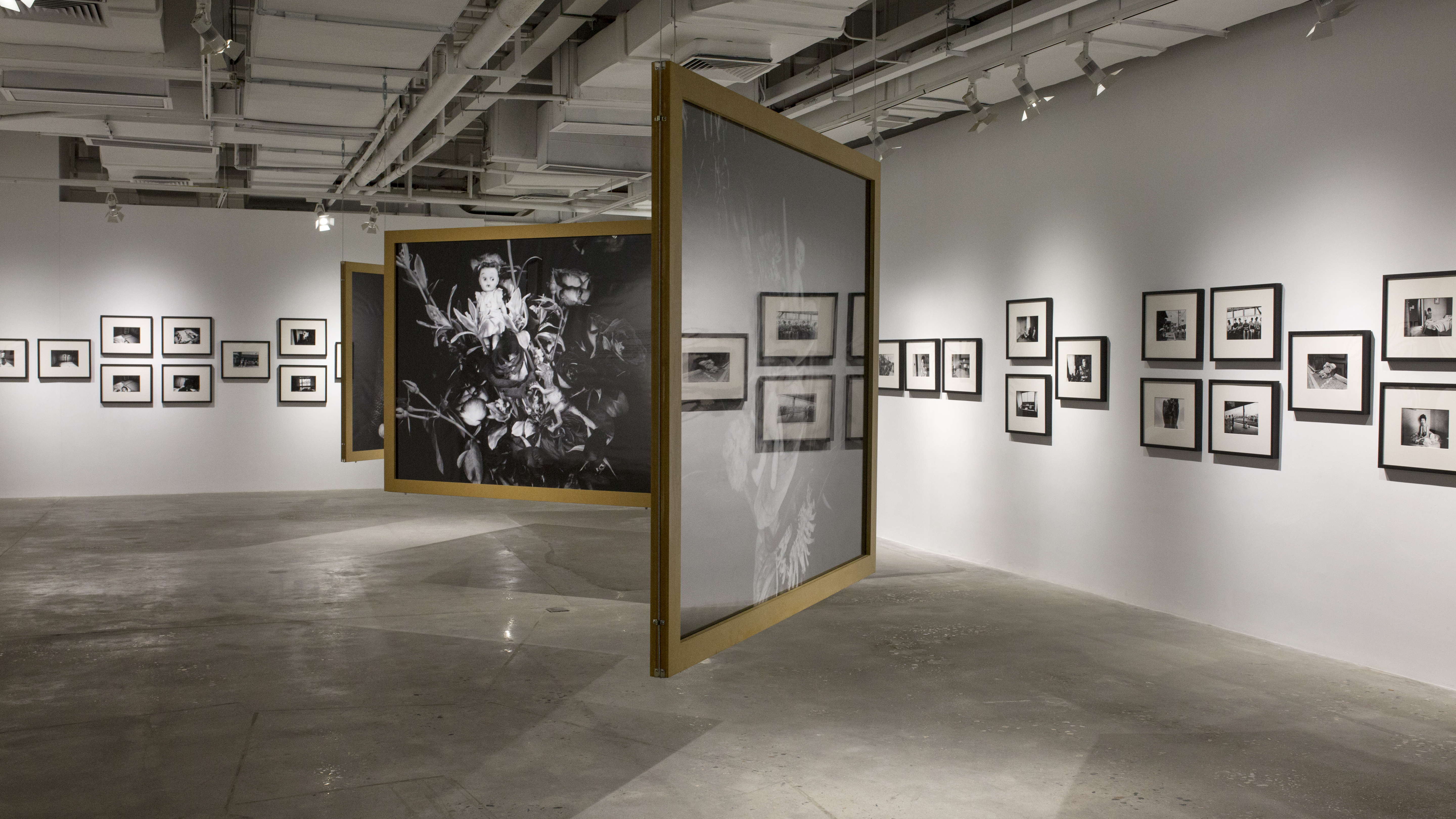 摄影收藏,摄影作品有收藏价值吗