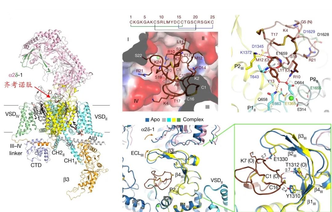来武汉东湖绿道走一走,来武汉东湖绿道走走