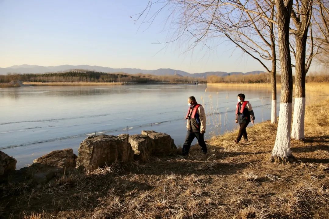 北京地下水位回升历史水平,北京地下水位回升生态意义