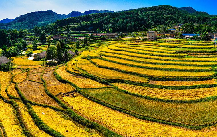 恩施旅游乡村,恩施旅游第一村