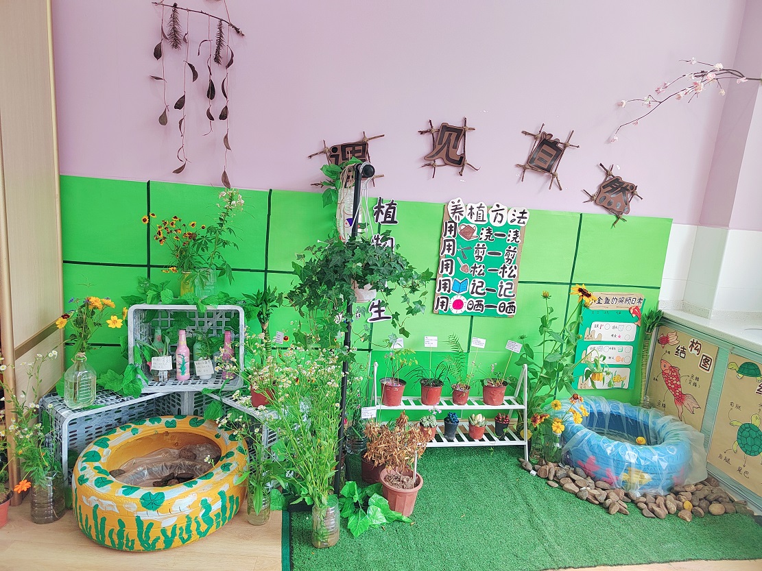 湘南幼专综合管理,湘南幼专技巧组合