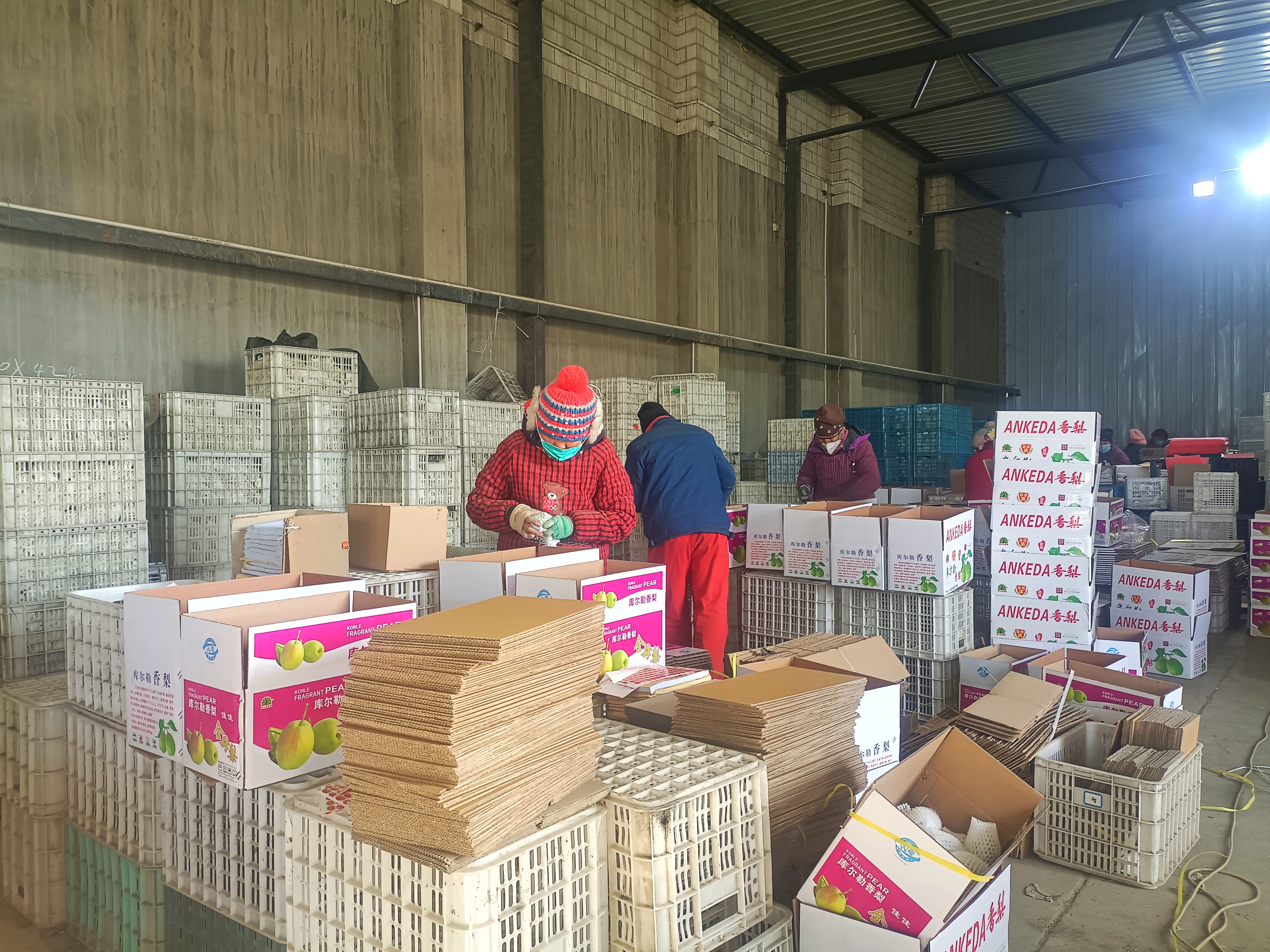 库尔勒库存香梨的最佳销售时间,库尔勒香梨销售旺季