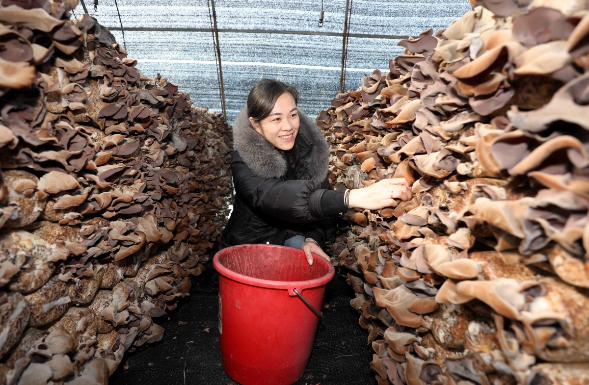 大美中国最美广西,大美中国之广西北部湾