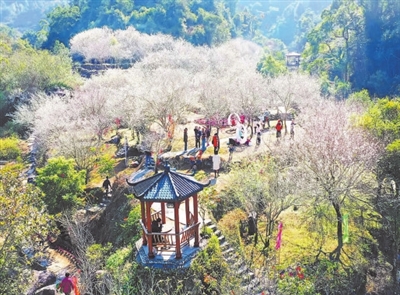 中国国际中医药论坛暨广东省第三届南药产业大会　旅游推动中医药文化传承