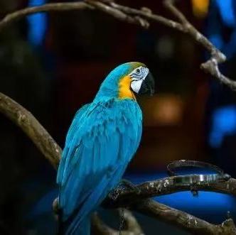 杉杉奥特莱斯十大品牌,杉杉奥特莱斯北面5折