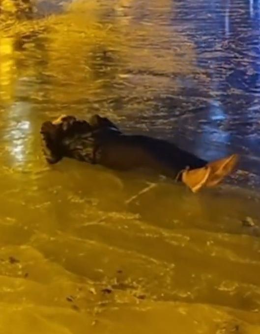 男子滑冰摔倒后脑勺着地去世,滑冰摔到后脑勺后续辟谣