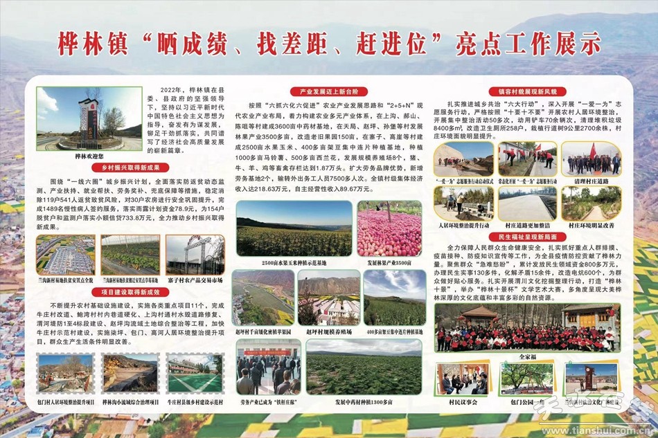 武山县重点工作会议,武山县乡村振兴四个一批