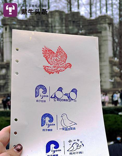 紫牛头条视频完整版,紫牛头条最近视频