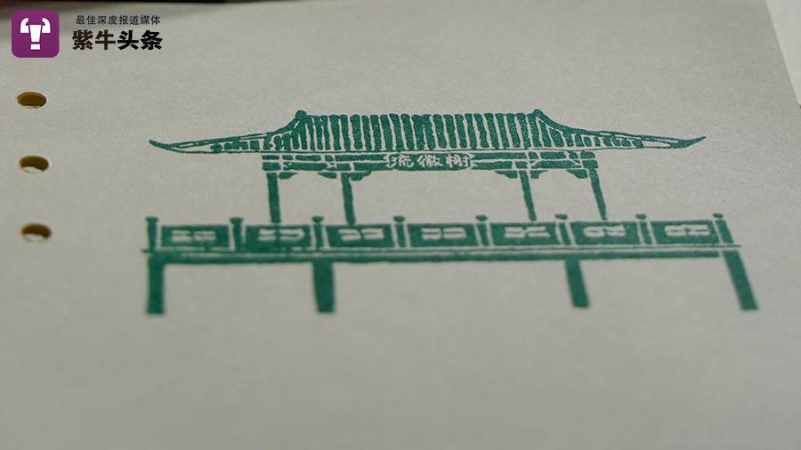 紫牛头条视频完整版,紫牛头条最近视频