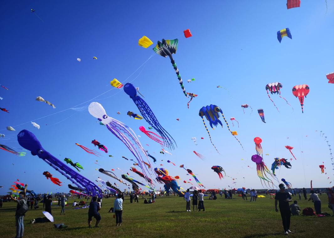 草长莺飞二月天整首诗,草长莺飞二月天的下一句