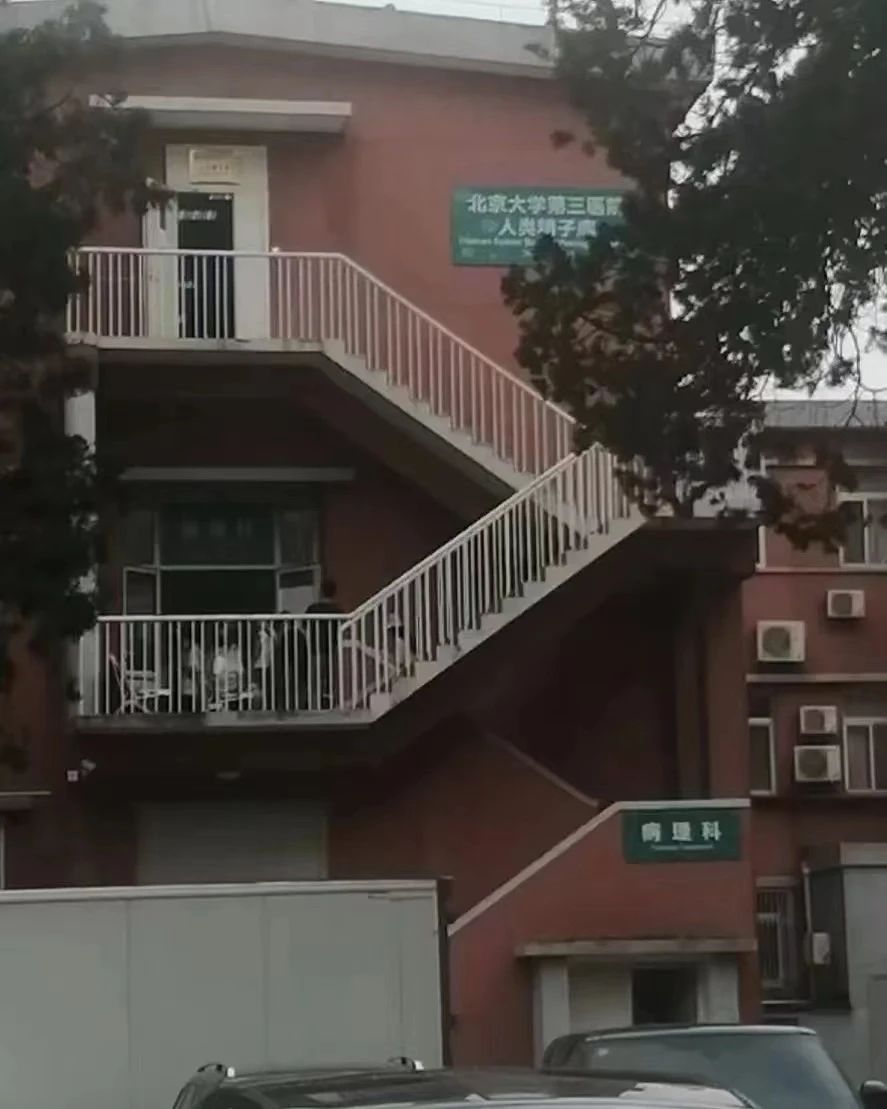 挑选优质精子,挑选精子质量