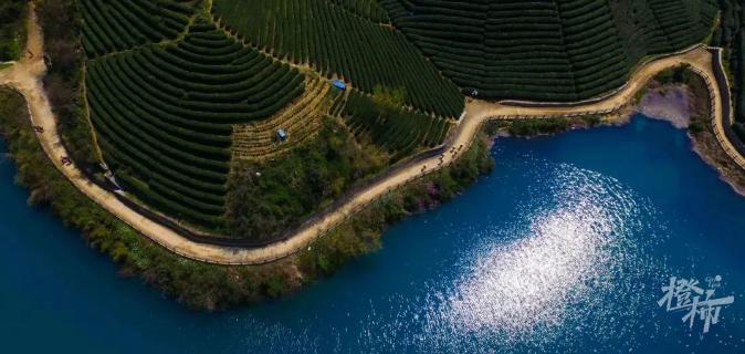 杭州出发郊外骑行路线推荐,杭州龙井骑行路线推荐