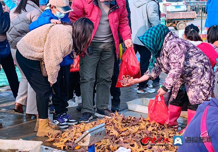 南姜码头现在有什么海鲜,实探海边最便宜的房子