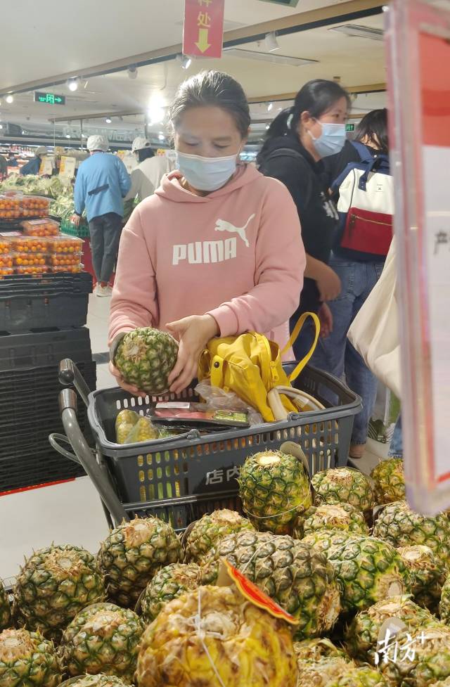 菠萝什么季节最热销,菠萝经济实惠