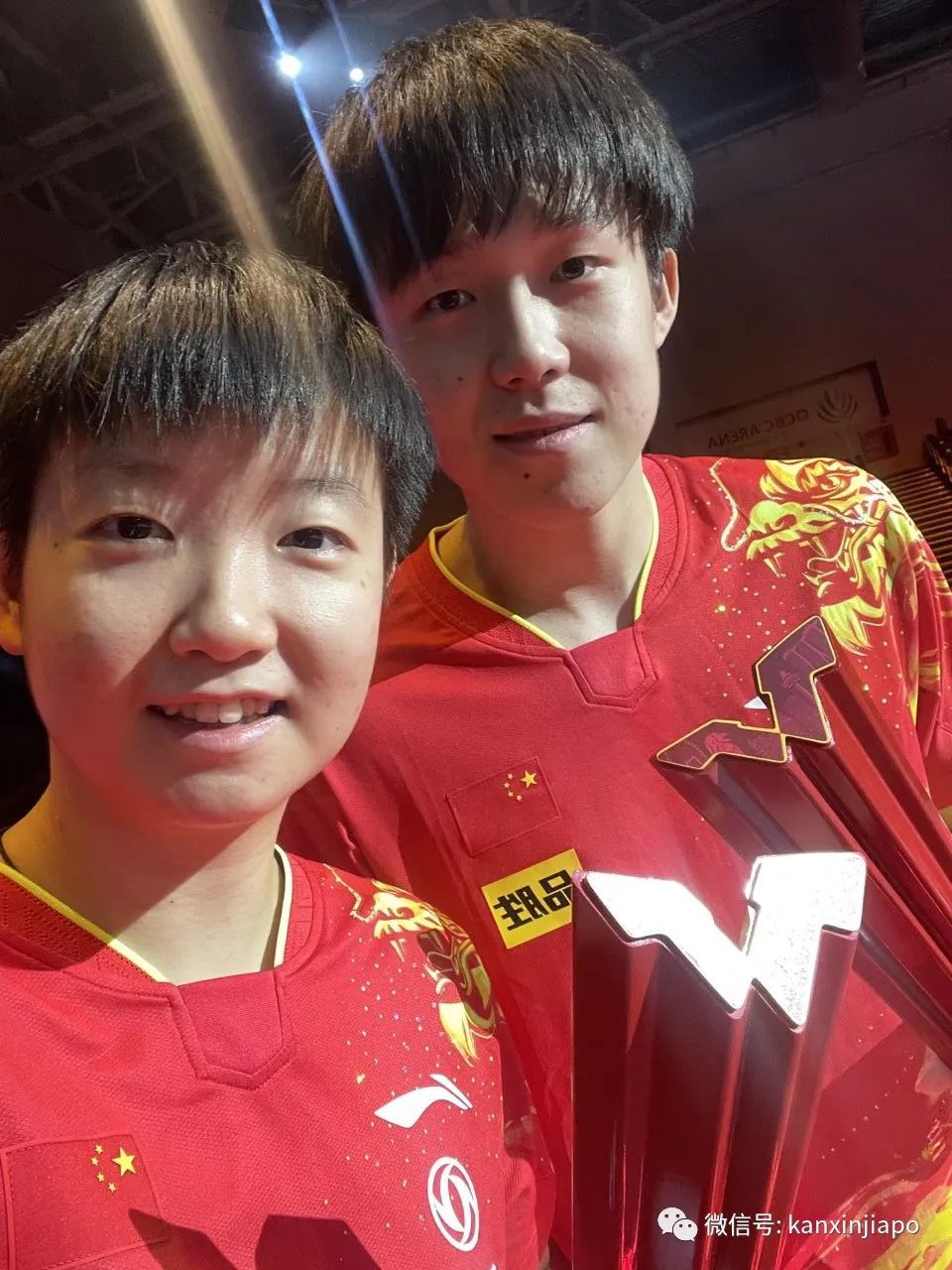 世界级乒乓球赛,世界级选手乒乓球赛