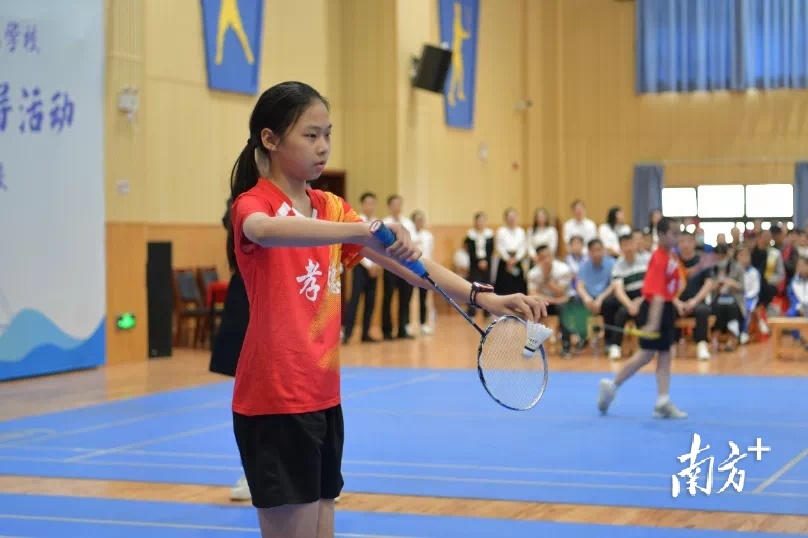 体育健儿林丹,林丹奥运教练