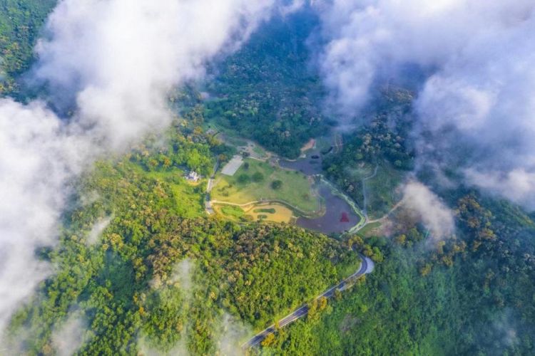 一起露营吧禾茂田园,一起露营吧广东话