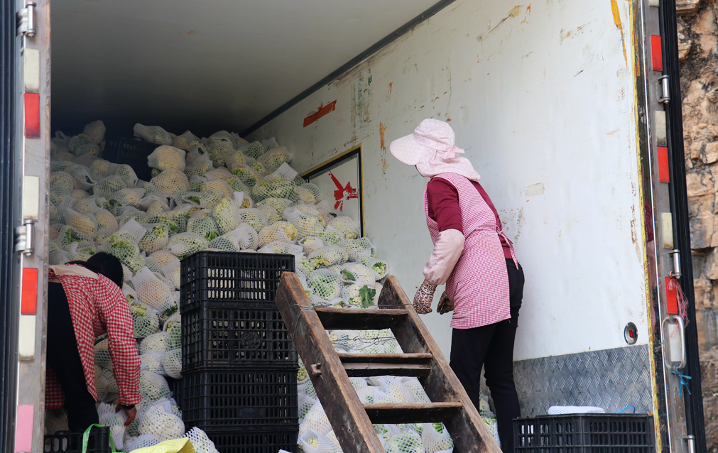 宣威市田坝镇发展,宣威市田坝镇收入
