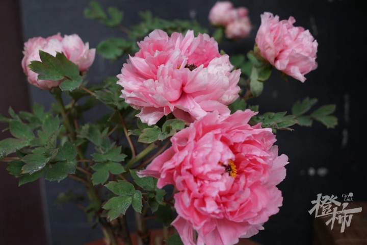 西湖景区晚上游玩攻略,西湖景区一日游攻略