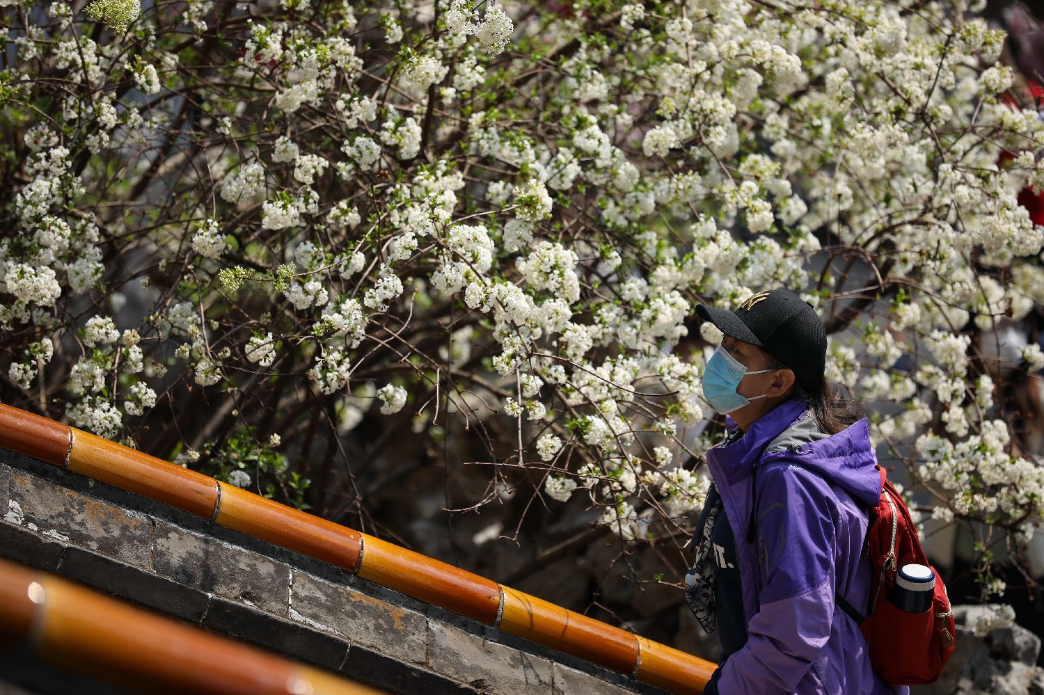 说说清明作为一个节气的重要特点,清明节气的传统文化内涵