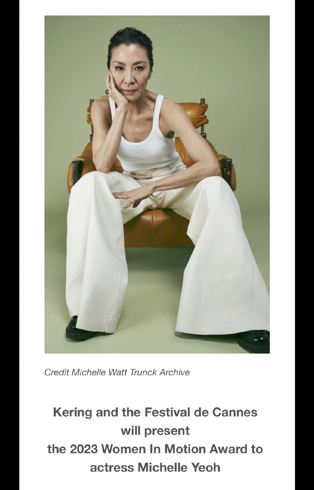 杨紫琼获奥斯卡最佳女主角提名,杨紫琼获戛纳电影节跃动她影奖