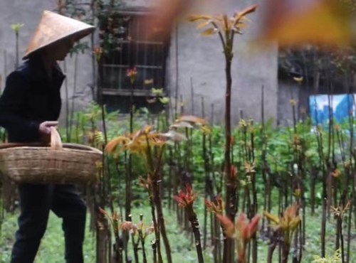 农村小伙回农村创业做农产品电商,小伙子返乡创业帮农民卖出农产品