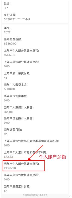 长沙市养老保险查询个人账户查询,安徽省个人养老保险查询个人账户
