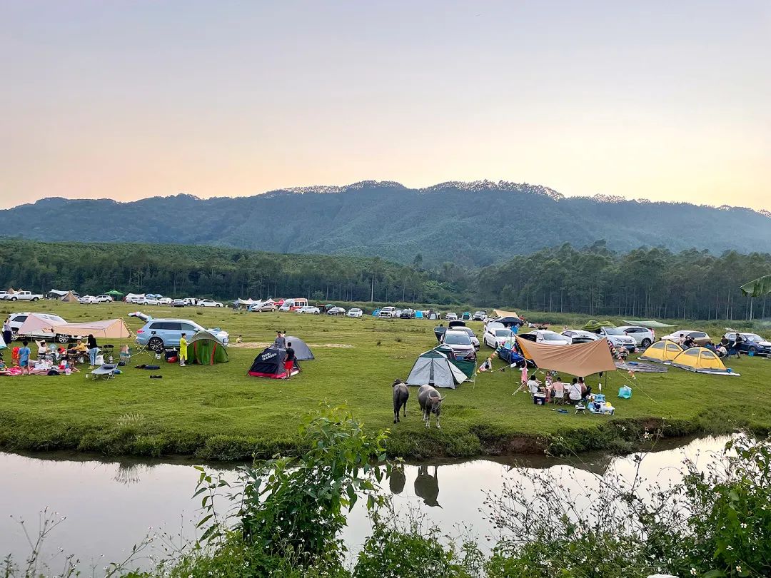 武鸣府城周围适合露营的地方,武鸣桥底露营地推荐