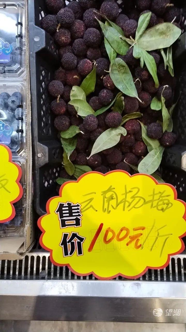 果子还这么小,就被预定6000多箱!浙江人对它有多执着