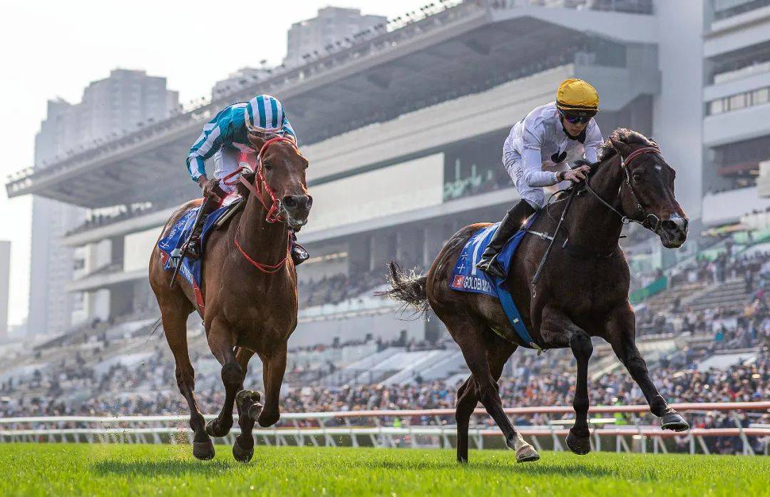 2023/24香港马季赛事总奖金大涨！