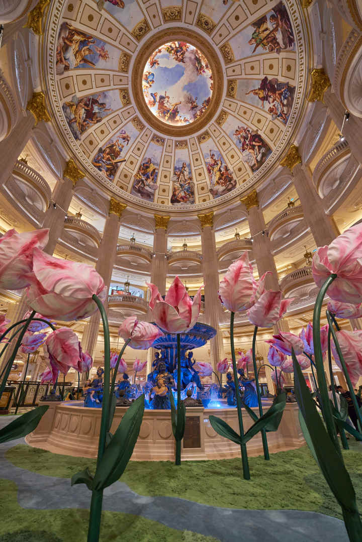 五一去哪儿②|五一游澳门，看完这篇攻略就够啦