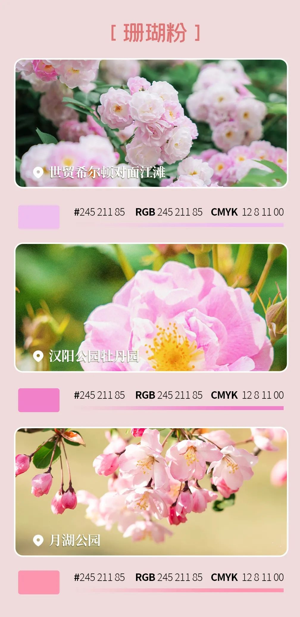 汉口旅游必去打卡地,汉阳带娃旅游攻略