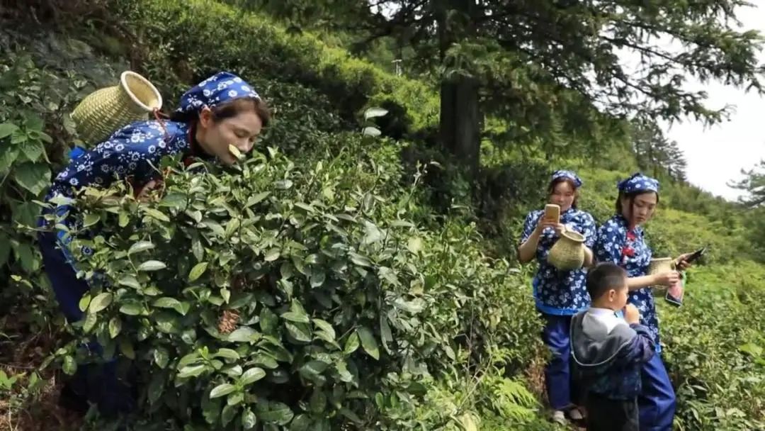 武汉市的后花园,打造武汉后花园