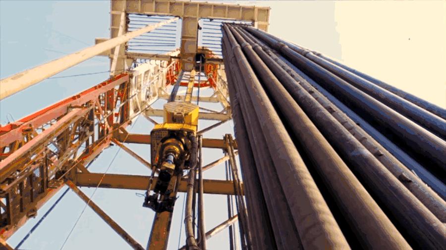 看国家队“挖呀挖呀挖”，唱最萌的歌谣，种最狠的花